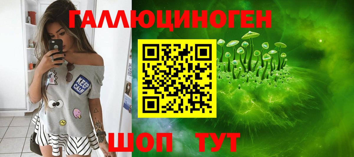 Псилоцибиновые грибы Psilocybe Новоалександровск